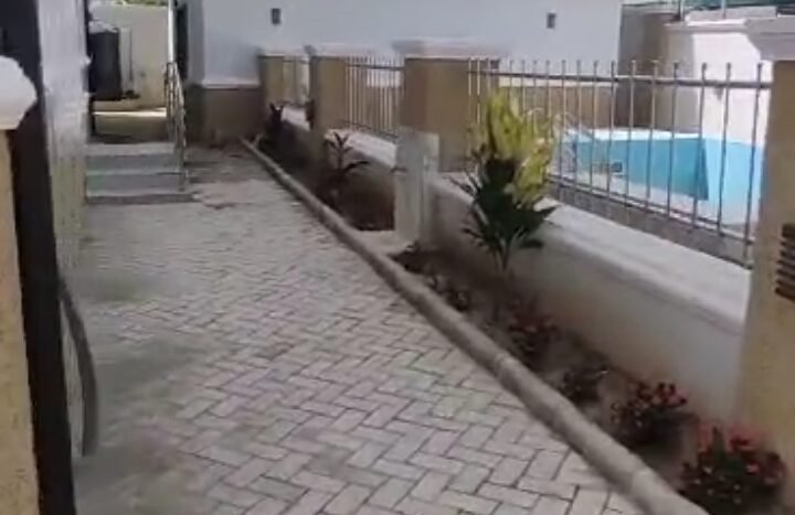 Luxurious 7-Bedroom Mansion with Ultra-Modern Features